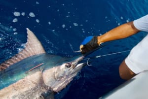 Turks and Caicos Fishing Charters