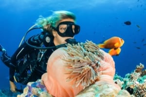 Photo of a Turks and Caicos Diving Expedition