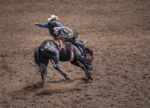 Photo of a Rodeo Cowboy in Jackson Hole, just 20 Minutes from Teton Village.